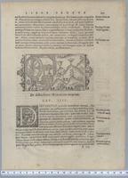 Historia de gentibus septentrionalibus : [pages 205-206]