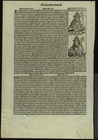 Liber chronicarum : [pages 238-239]