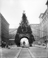 Christmas Tree on North Tucker