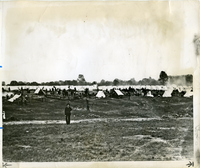 Jefferson Barracks - Camp Stephens Tent City 1898