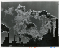 Anheuser-Busch Brewery - Steam and Smoke