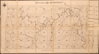 A Topographical Map of Forest Park