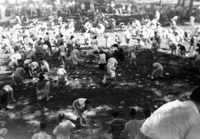 A Game at the Proctor and Gamble Picnic, 1952
