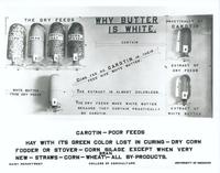 Why butter is white