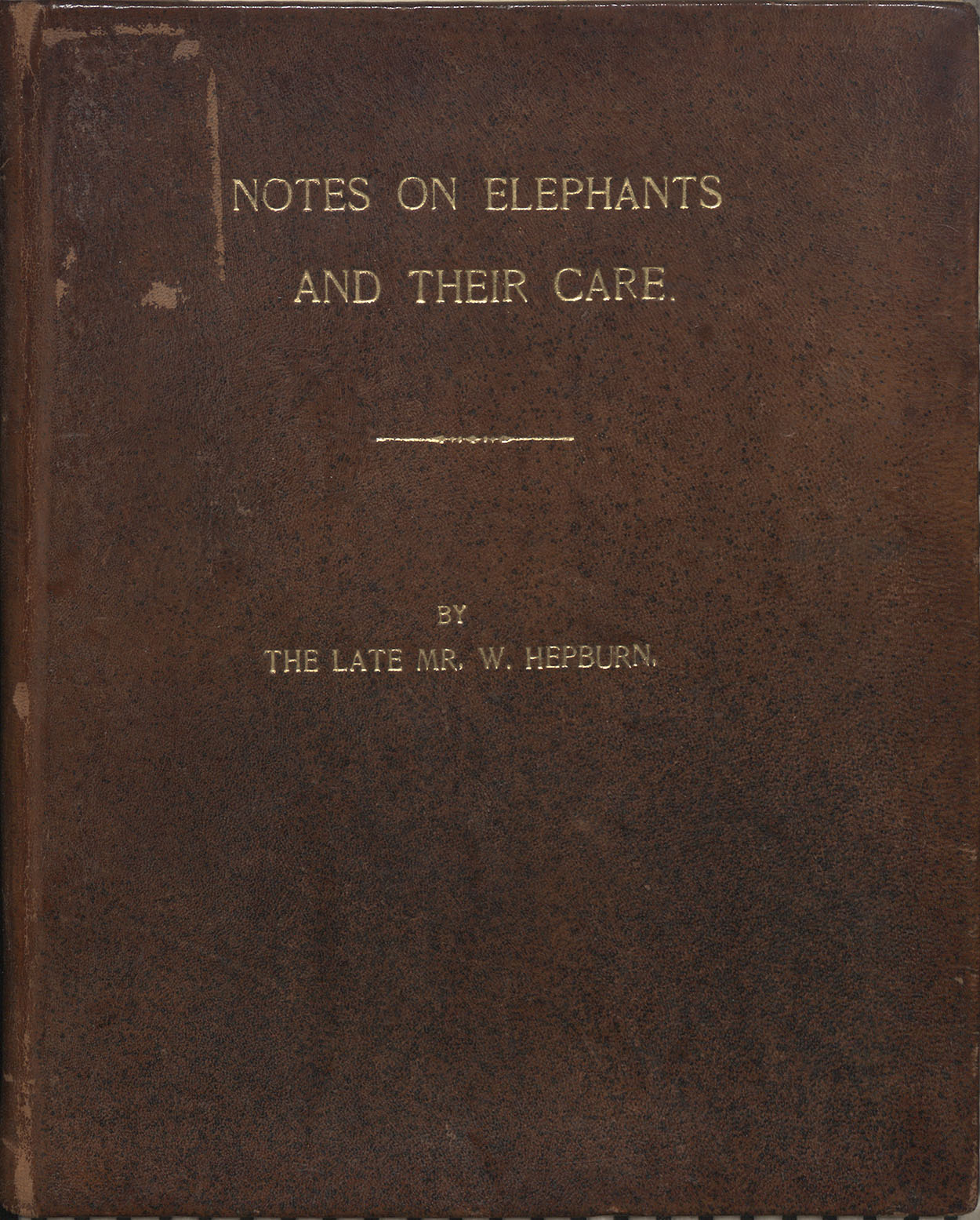 Notes on elephants and their care