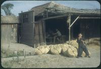 Hiller 09-027: A boy eating sugar cane