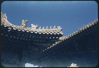 Hiller 08-087: Pagoda roof, Peiping