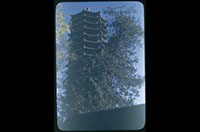 Hiller 08-112: Multi-story structure behind trees, Peiping