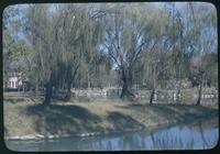 Hiller 08-113: A lake with a building hidden behind trees, Peiping, number three