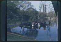 Hiller 08-114: A lake with a multi-story structure in the background, Peiping, number two