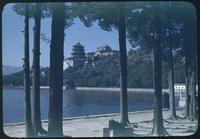 Hiller 08-128: Beach view of tree-lined water, Peiping, number one