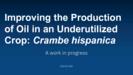 Improving the production of oil in an underutilized crop : Crambe hispanica (Hall)