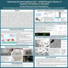 Optimizing the intermedilysin(ILY)- hCD59 receptor system of rapid cell ablation in zebrafish (Aleti)