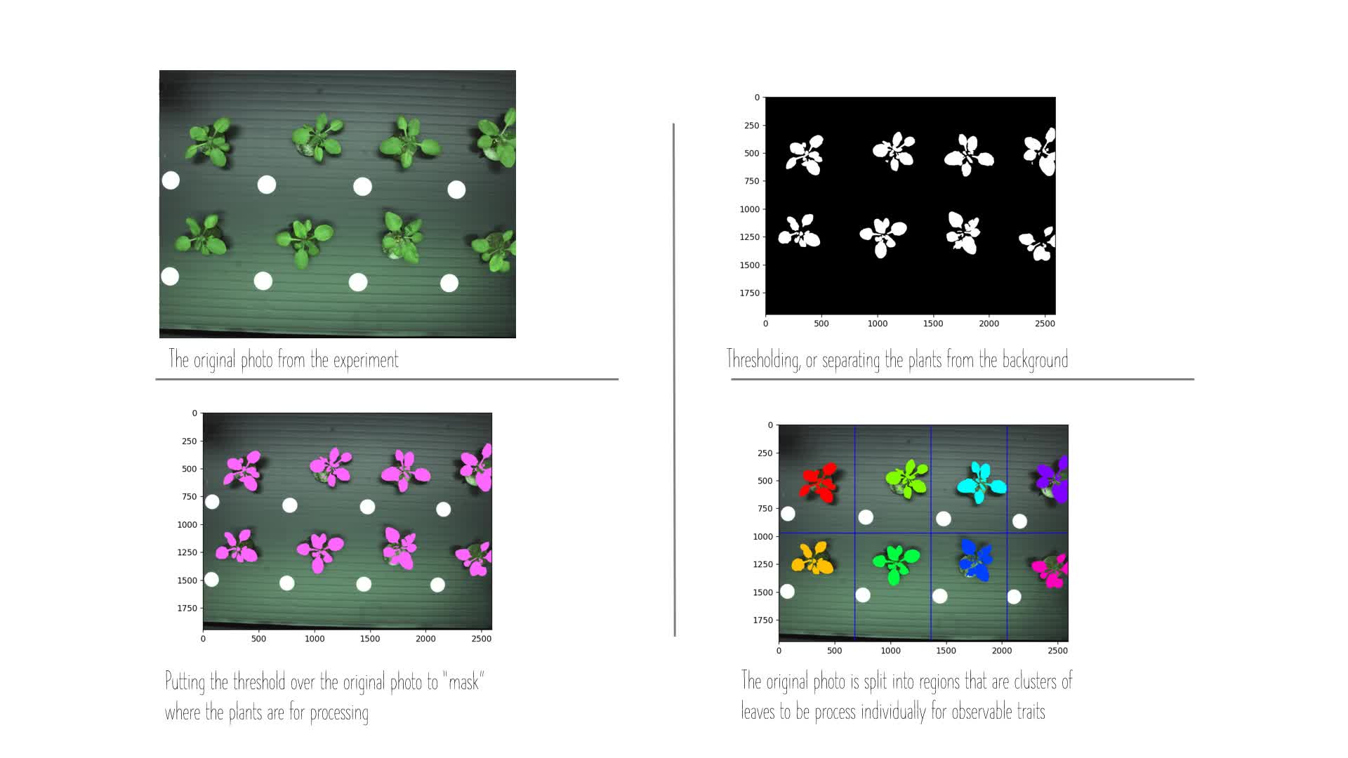 Accelerated gene discovery through automated hydroponics (Swartz)