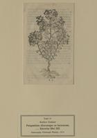 Tafel 37: Purgantium aliarumque eo facientum, ... historiae libri IIII 