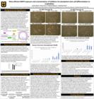 Wind: Most efficient BMP4 exposure and concentrations of inhibitors for pluripotent stem cell differentiation to trophoblast