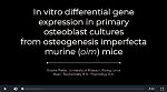 Weiler: In vitro differential gene expression in primary osteoblast cultures from osteogenesis imperfecta murine (oim) mice