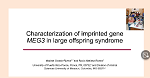 Ocasio-Rivera: Characterization of imprinted gene MEG3 in large offspring syndrome