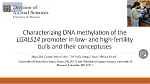 Velez: Characterizing DNA methylation of the LGALS14 promoter in low- and high-fertility bulls and their conceptuses