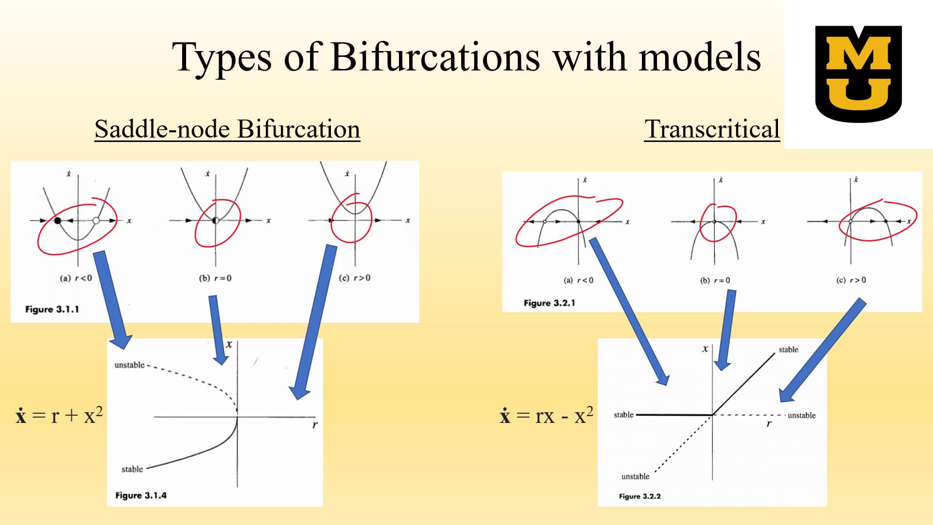 Schneegans: Nonlinear dynamics: a look into one-dimensional and two-dimensional flows