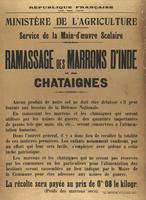 Ramassage des marrons d'inde et des chataignes