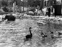 Charles H. Yalem Children's Zoo