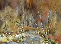 Autumn Stream