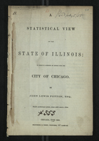 A Statistical View of the State of Illinois