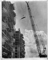 Plaza Apartments - Reaching for the sky