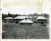 Dragoons At The Jefferson Barracks