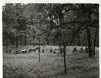 A Communications Unit Advances Into The Woods