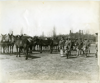 Jefferson Barracks - Inspection by General