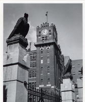 Anheuser-Busch Brewery - Grounds