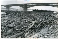 Eads Bridge-Messy Mississippi