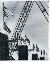 Flags at Convention Center