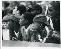 Fans Watching Baseball Clinic