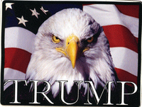 Trump Eagle sticker
