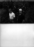 Two Men in a Cornfield 