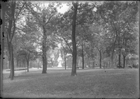 Photograph of Trees and a Statue in a Park