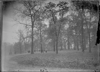 Photograph of People in the Distance Walking Through a Park