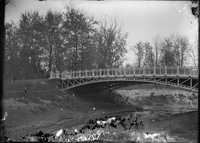 Photograph of a Bridge in Forest Park