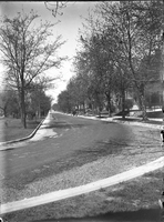 Photograph Down the Length of a Residential Street