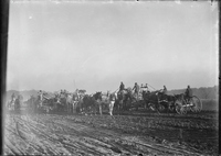 Photograph of Horses and Mules Pulling Carts in a Field