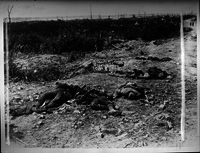 Deceased Soldiers in the Field