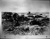 War Horse Casualties