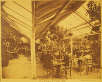 Roof Garden U.T. Blg: 1894